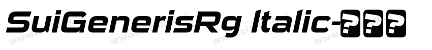 SuiGenerisRg ltalic字体转换